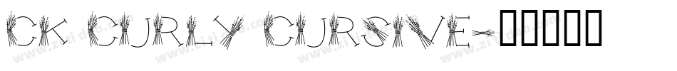 CK Curly Cursive字体转换